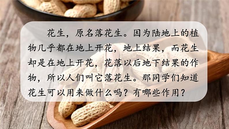 人教部编版语文五年级上册2落花生教学课件03