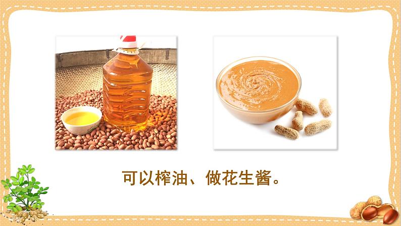 人教部编版语文五年级上册2落花生教学课件05