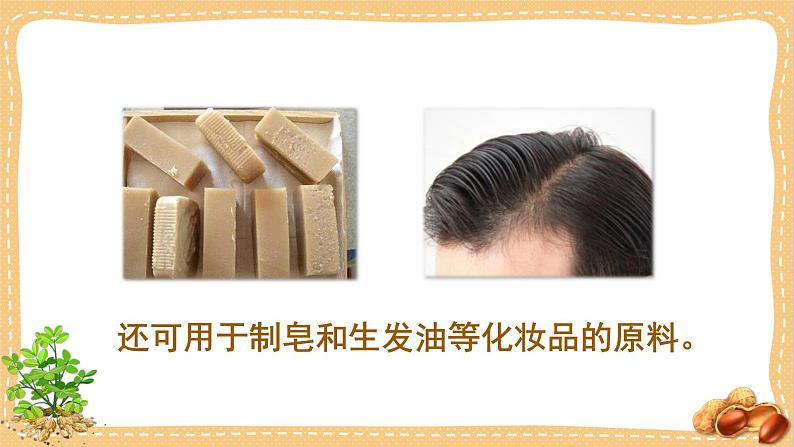 人教部编版语文五年级上册2落花生教学课件06