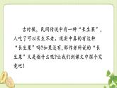 人教部编版语文五年级上册27我的“长生果”教学课件
