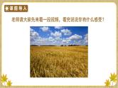 部编版语文六年级上册21三黑和土地 （课件+素材）