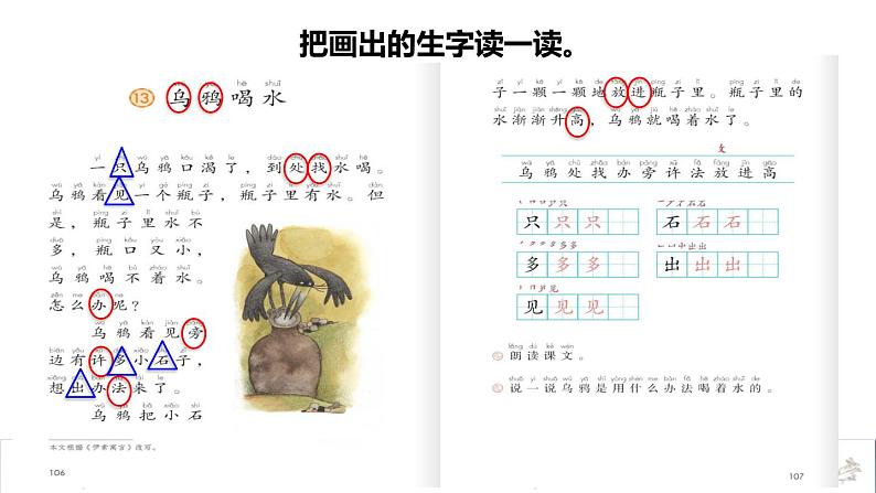 13乌鸦喝水初读感知课件第4页