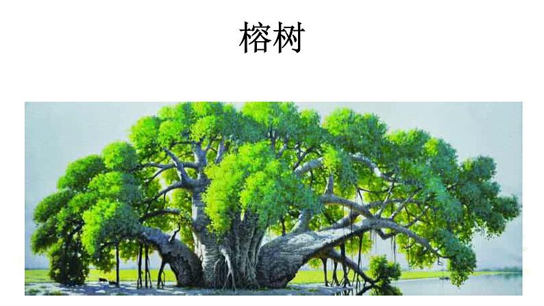 二语上识字 2树之歌【课件】第3页