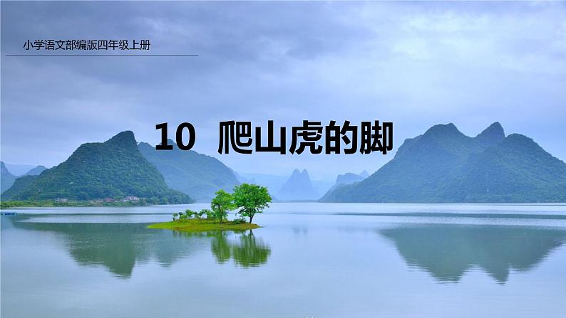 10.爬山虎的脚课件PPT第1页