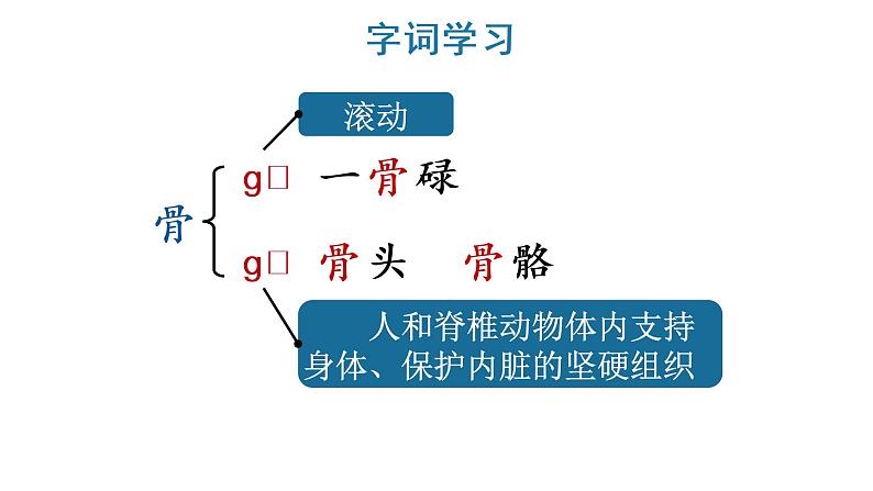 部编版三年级语文上册--10 在牛肚子里旅行   课件 素材07