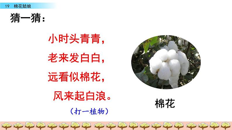 19部编版一年级下册语文课件 棉花姑娘01
