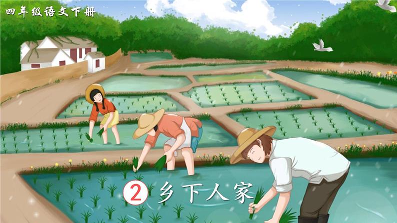 部编版四年级下册语文2 乡下人家（课件+教案+练习含答案）01