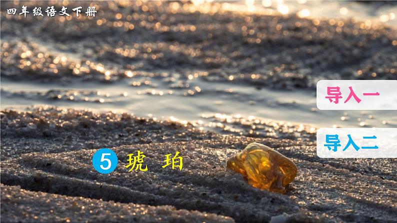 5 琥珀（课件）第1页