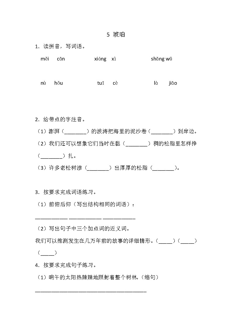 5 琥珀练习含答案第1页