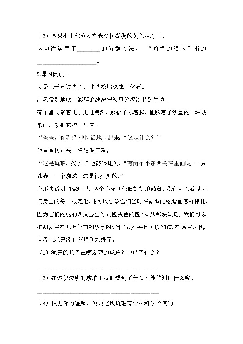 5 琥珀练习含答案第2页