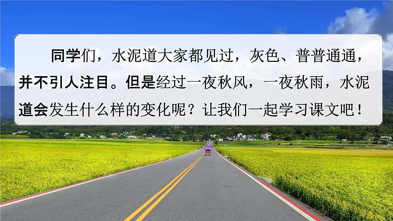 部编人教版三年级语文上册《5铺满金色巴掌的水泥道》教学课件小学优秀公开课第2页