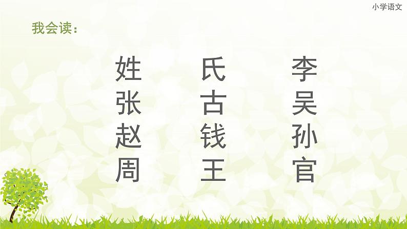 识字2《2、姓氏歌》课件PPT02