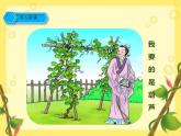 二年级语文上册教学课件-14.我要的是葫芦24-部编版(共32张PPT)