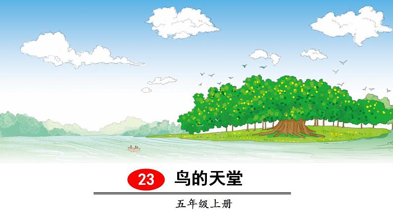 23《鸟的天堂》优质课PPT2课件PPT第1页