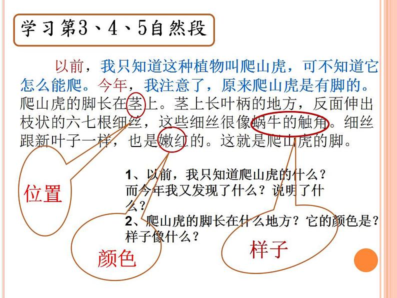 部编版（五四制）语文四年级上册 10 爬山虎的脚(2)（课件）第4页