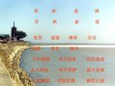 部编版（五四制）语文四年级上册 1 观潮（课件）