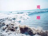 部编版（五四制）语文四年级上册 1 观潮（课件）
