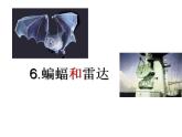 部編版（五四制）語(yǔ)文四年級(jí)上冊(cè) 6 蝙蝠和雷達(dá)(1)（課件）