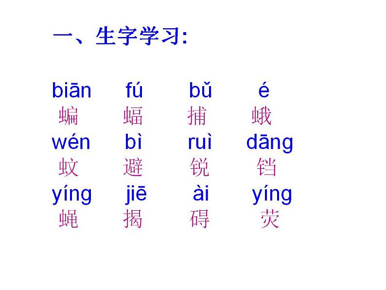 部编版（五四制）语文四年级上册 6 蝙蝠和雷达(1)（课件）07