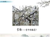 古诗三首 雪梅课件PPT
