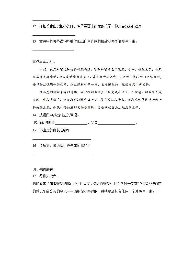 部编版语文四年级上册爬山虎的脚同步练习试题第3页