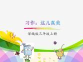部编版语文三年级上册 习作：这儿真美（课件）
