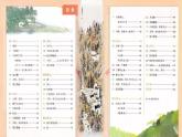 部编版六年级上册语文全册练习课件