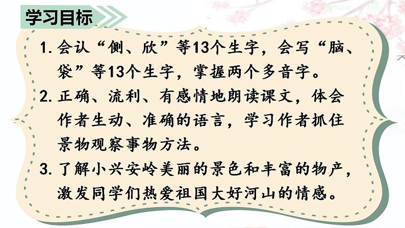 20 （课堂教学课件）美丽的小兴安岭第3页