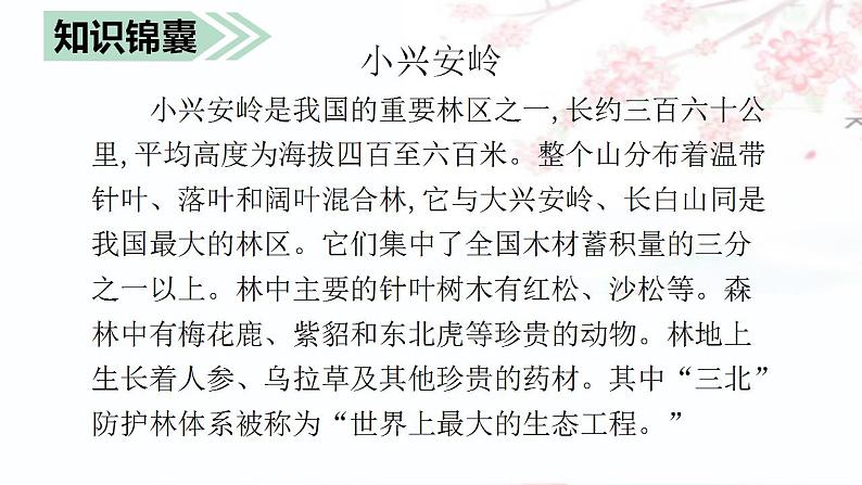 20 （课堂教学课件）美丽的小兴安岭第4页