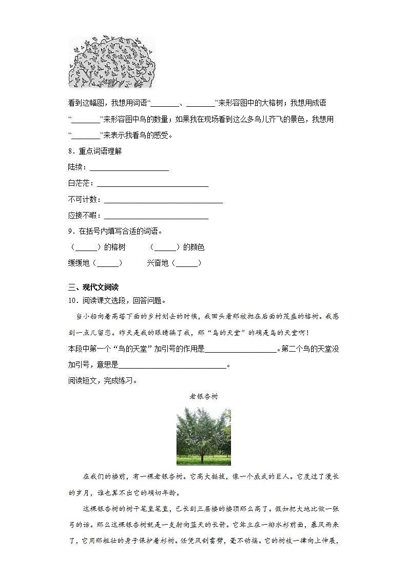 部编版语文五年级上册鸟的天堂同步练习试题02