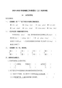 2021-2022年统编版三年级语文（上）同步训练(1)