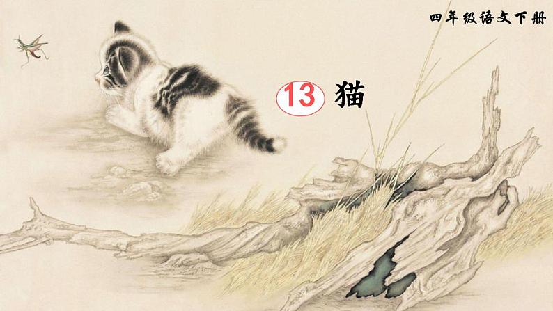 部编版四年级下册语文13 猫（课件+教案+练习含答案）01