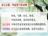 部编版四年级下册语文13 猫（课件+教案+练习含答案）