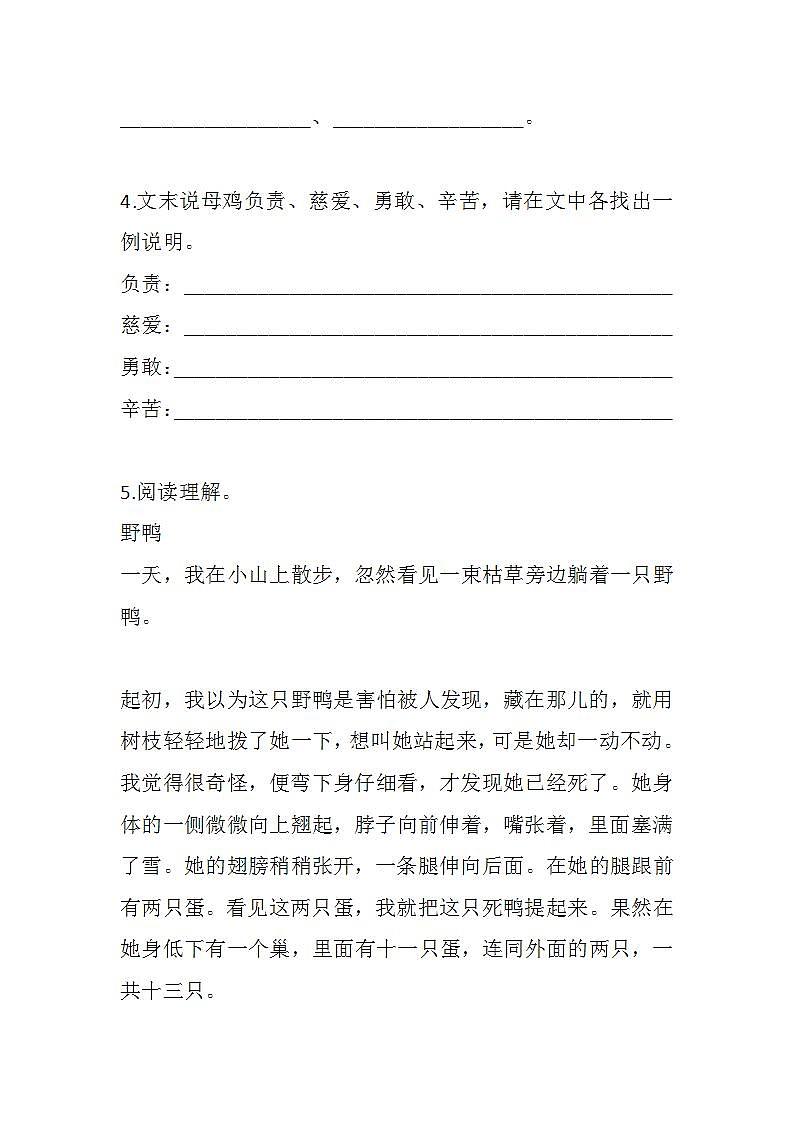 14 母鸡练习含答案第2页