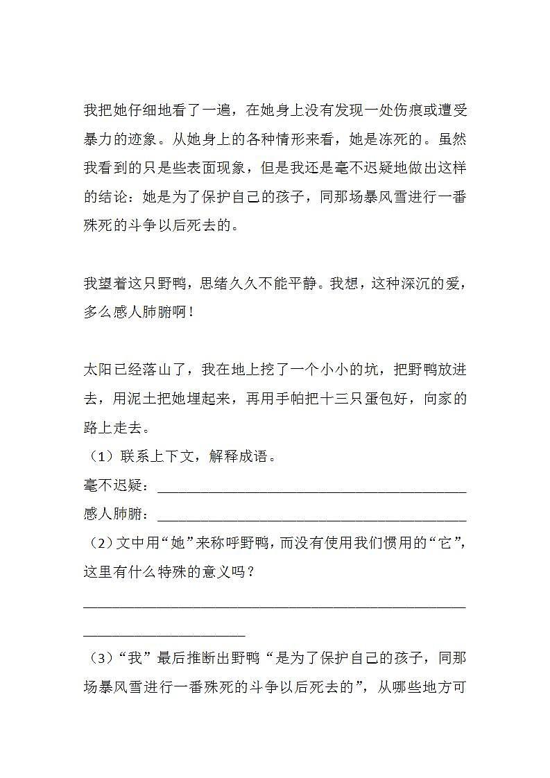 14 母鸡练习含答案第3页