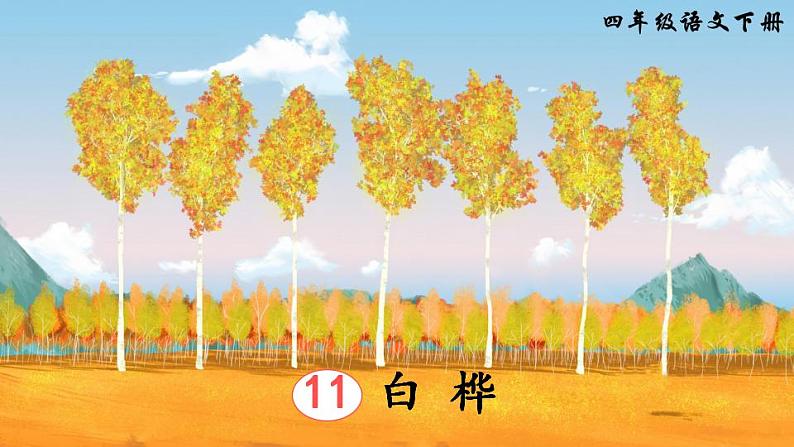 部编版四年级下册语文11 白桦（课件+教案+练习含答案）01