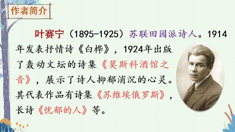 部编版四年级下册语文11 白桦（课件+教案+练习含答案）03