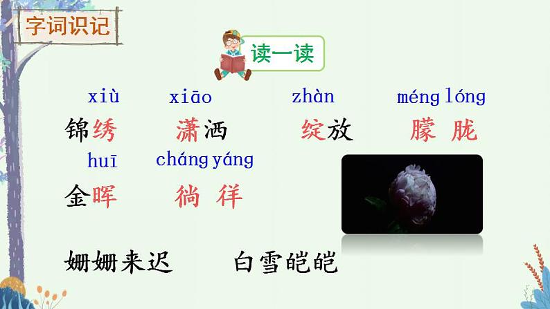 部编版四年级下册语文11 白桦（课件+教案+练习含答案）05