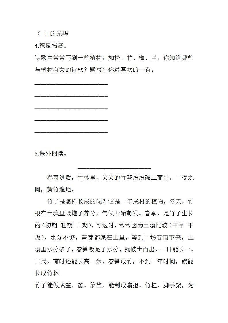 部编版四年级下册语文11 白桦（课件+教案+练习含答案）02