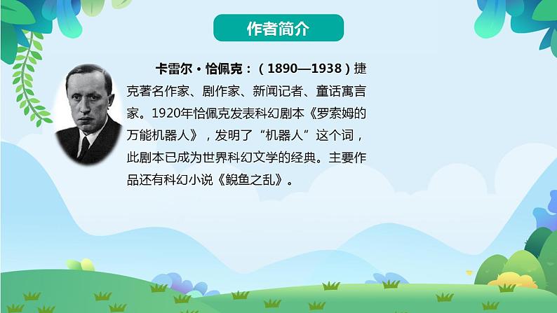 部编版五年级下册语文19 牧场之国（课件+教案+练习含答案）03