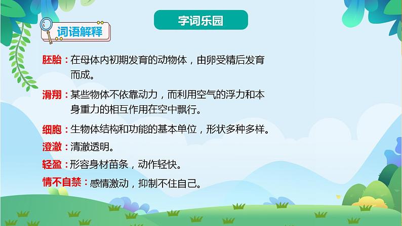 部编版五年级下册语文23 童年的发现（课件+教案+练习含答案）06