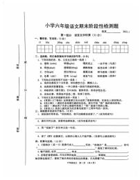 江苏省宿迁市沭阳县2020-2021年度第一学期六年级语文期末检测题-无答案