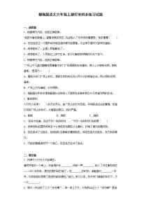 2021学年第二单元8* 灯光课时作业