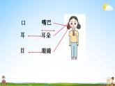 部编人教版一年级语文上册《识字3 口耳目》教学课件小学优秀公开课