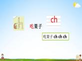 部编人教版一年级语文上册《汉语拼音8 zh ch sh r》教学课件小学公开课