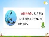 部编人教版二年级语文上册《1 小蝌蚪找妈妈》教学课件小学公开课