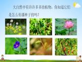 部编人教版二年级语文上册《3 植物妈妈有办法》教学课件小学公开课