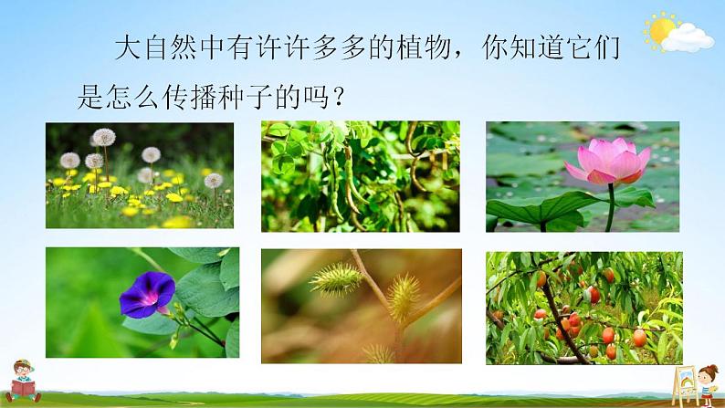 部编人教版二年级语文上册《3 植物妈妈有办法》教学课件小学公开课02