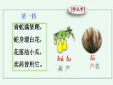 部编人教版二年级语文上册《14 我要的是葫芦》教学课件小学公开课