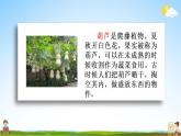 部编人教版二年级语文上册《14 我要的是葫芦》教学课件小学公开课
